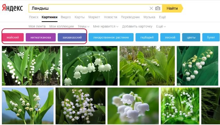 Filtri za pretraživanje Yandexovih slika