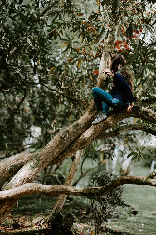 ideje za jesenske fotografije za instagram - djevojka na drvetu